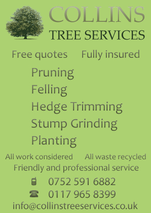 Collins Tree Services